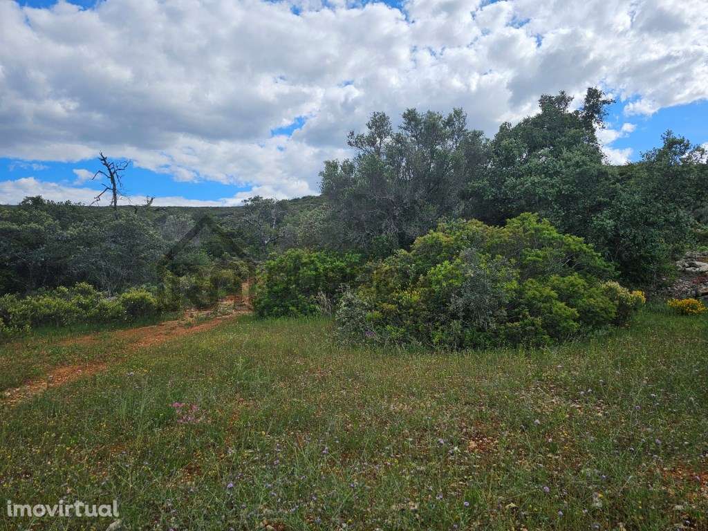 Terreno rústico junto a estrada a 5 minutos de Loulé - Grande imagem: 4/6