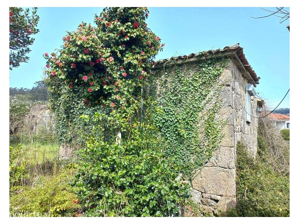 Casa antiga em pedra para restauro em Padornelo - Grande imagem: 3/13