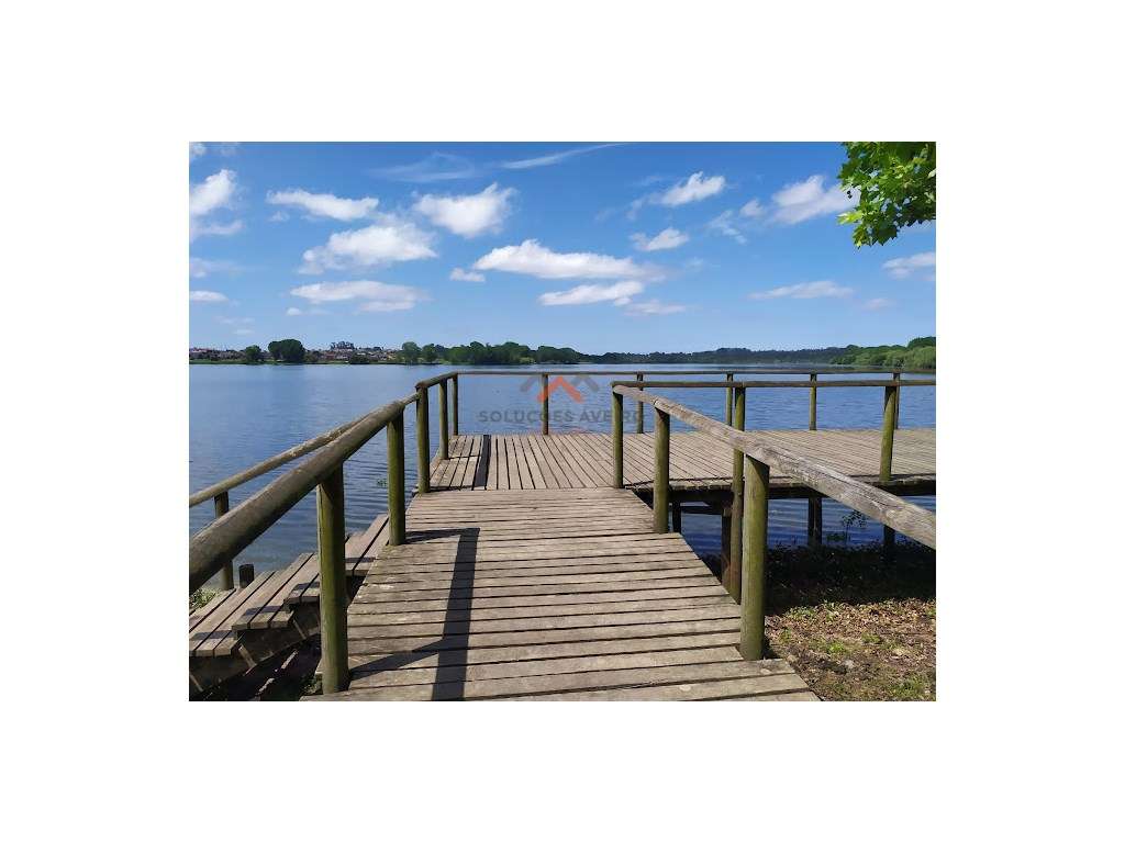 Restaurante na Pateira! - Grande imagem: 3/15