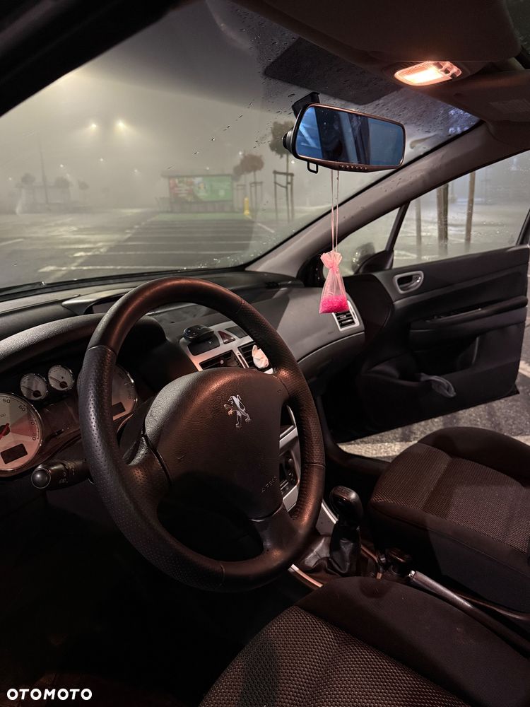 Peugeot 307 1.6 Oxygo - 5