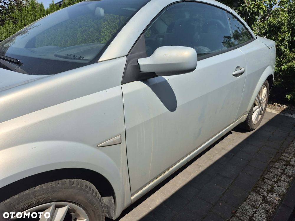 Renault Megane 1.9 dCi Confort Authentique - 1