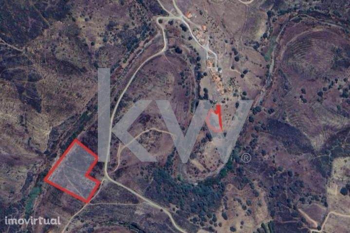 Conjunto de Terrenos Rústicos com 11760m2 sito em Várzea do Gato, Mart - Grande imagem: 3/3