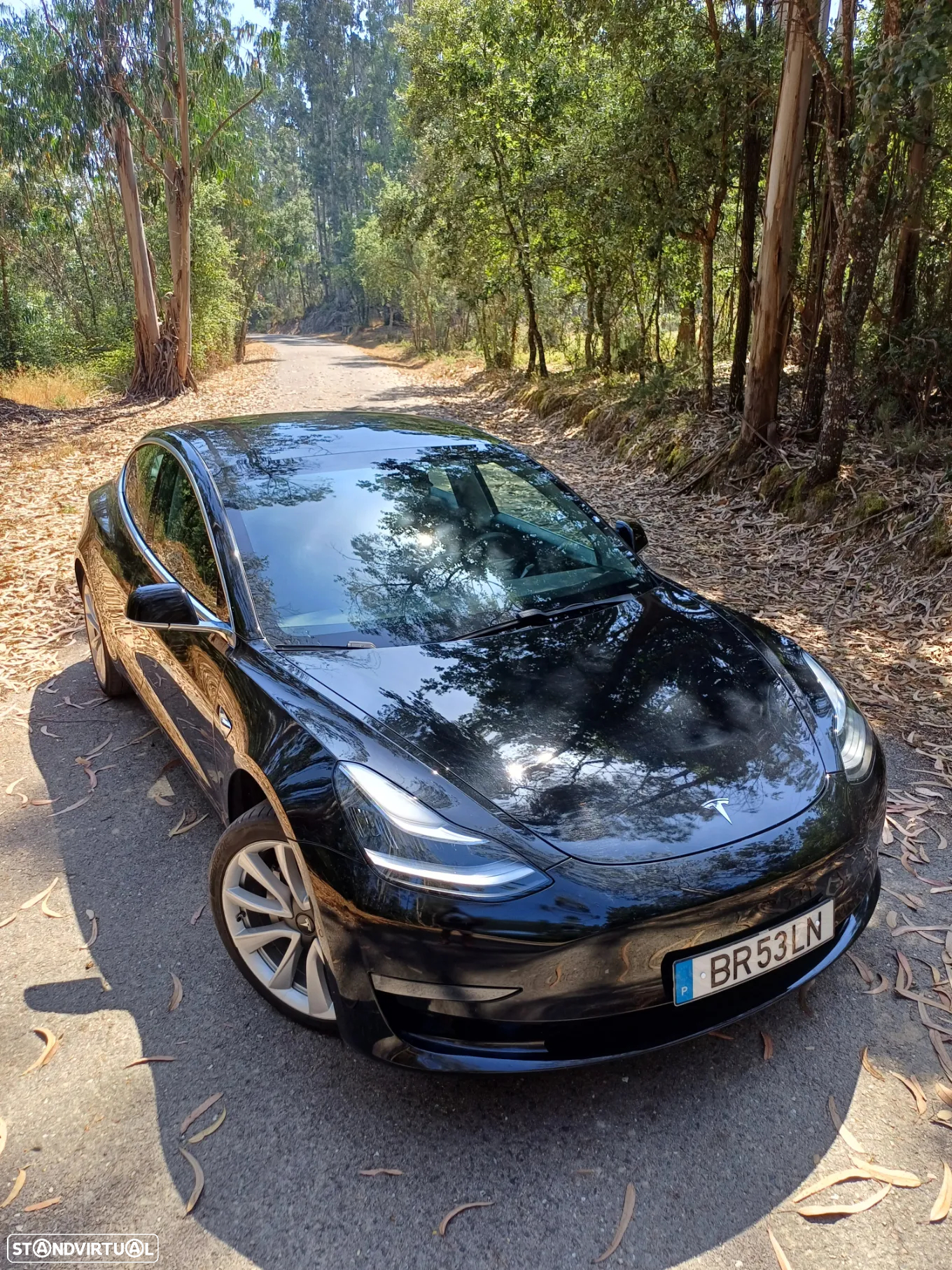 Tesla Model 3 Long Range AWD Dual Motor - 7