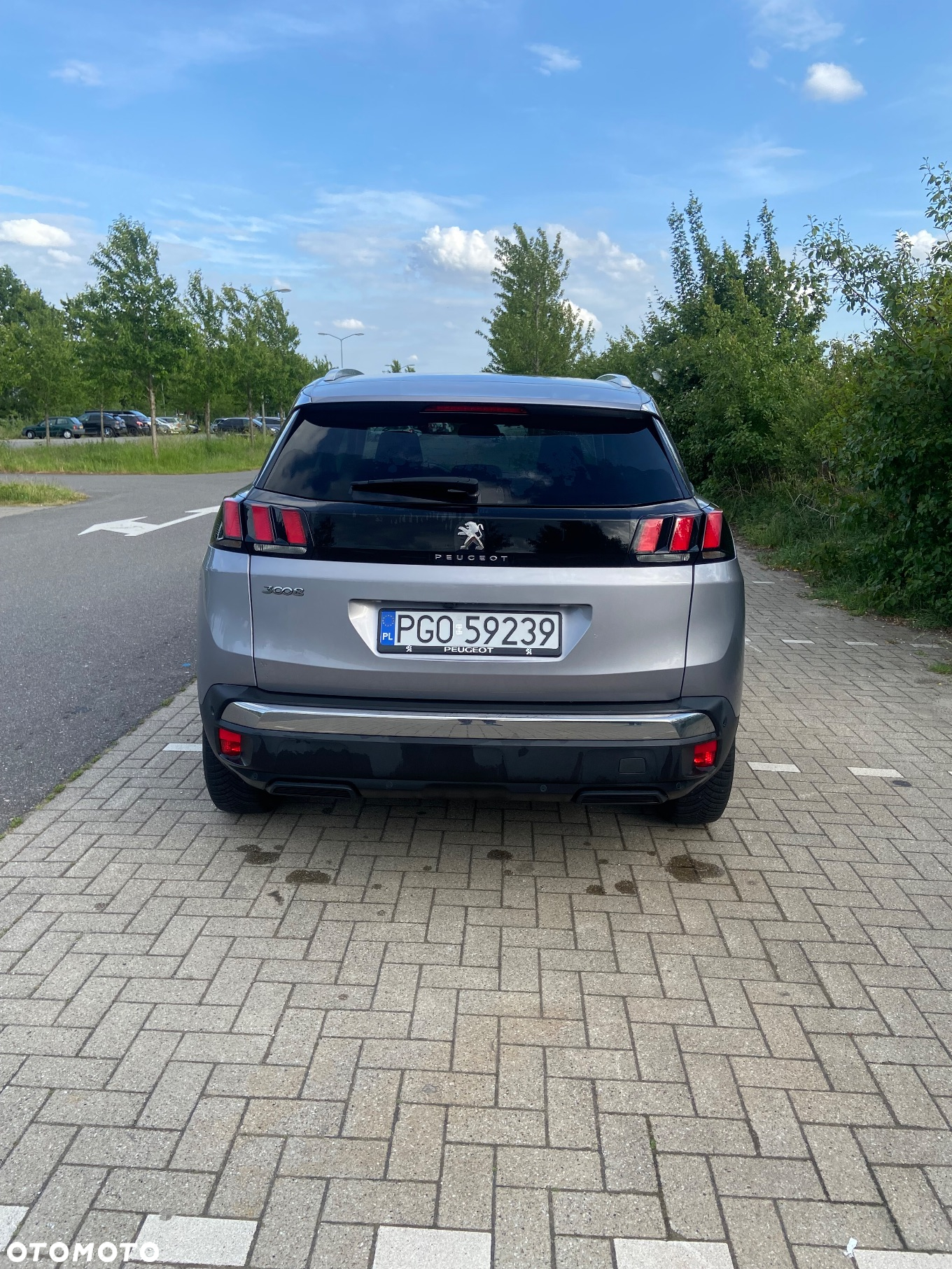 Peugeot 3008 1.2 PureTech GPF Active S&S EAT8 - 2