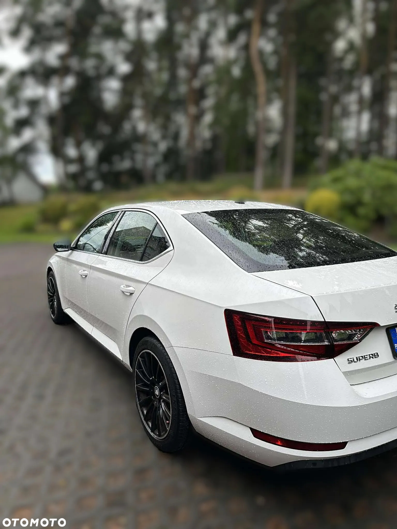 Skoda Superb 2.0 TDI Active DSG - 5