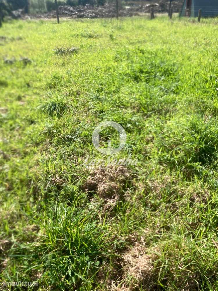 Terreno para construção de moradia - Grande imagem: 2/14
