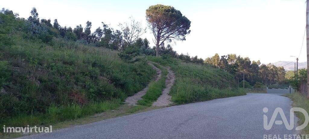 Terreno em Sande Vila Nova e Sande São Clemente - Grande imagem: 2/15