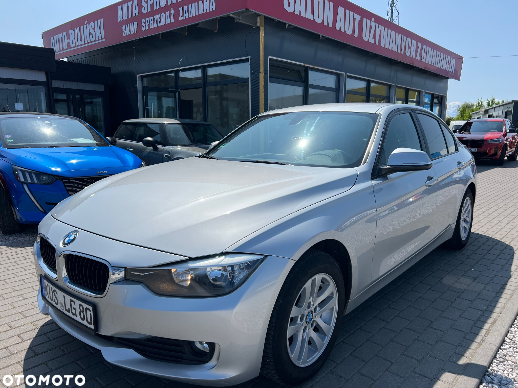 BMW Seria 3 316d Advantage - 3
