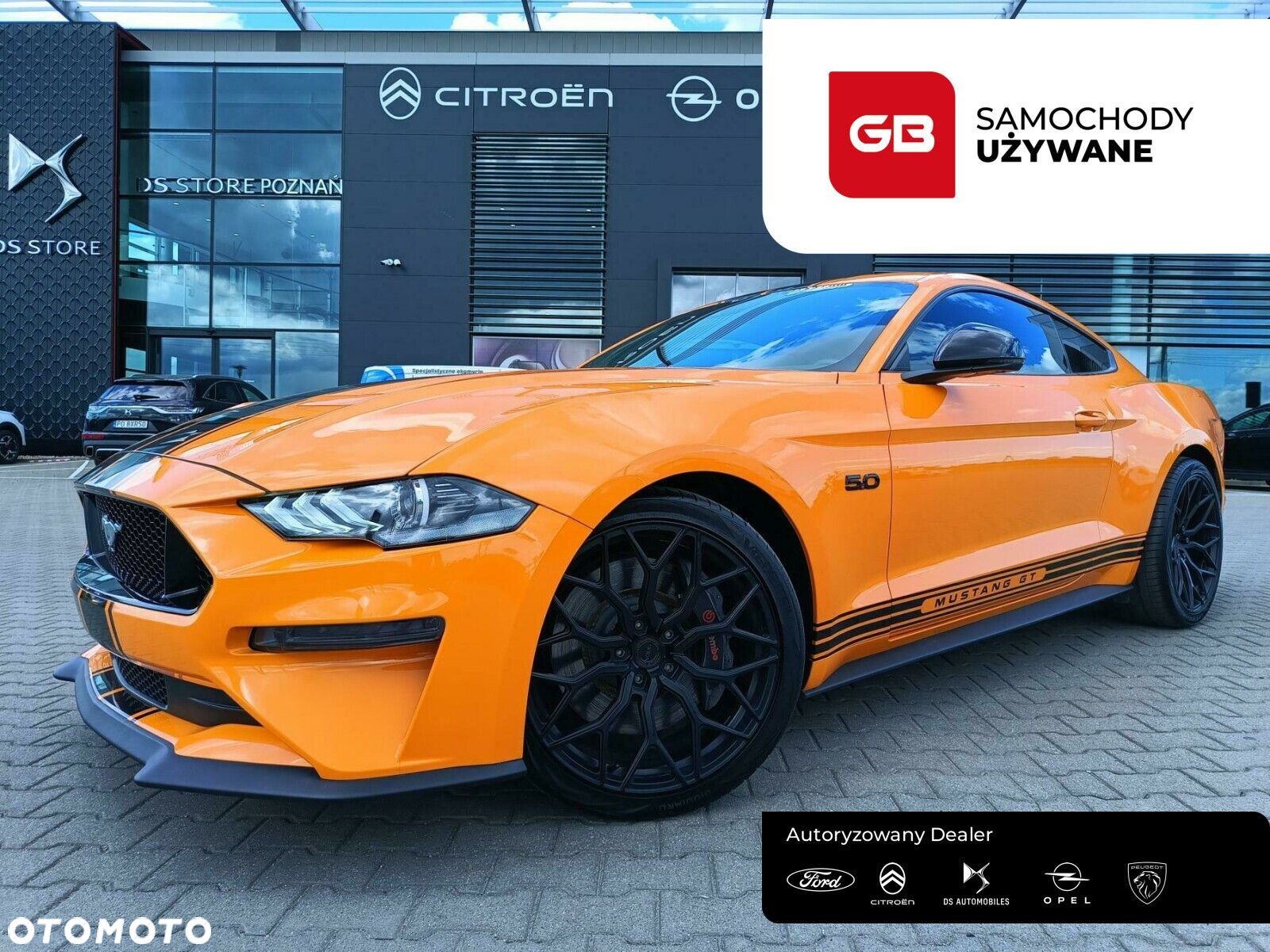 Ford Mustang 5.0 V8 GT - 1