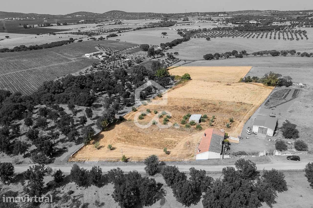 Quinta de 1,4 ha c/ 2 Moradias T1 | São Bento do Ameixial, Estremoz - Grande imagem: 2/60