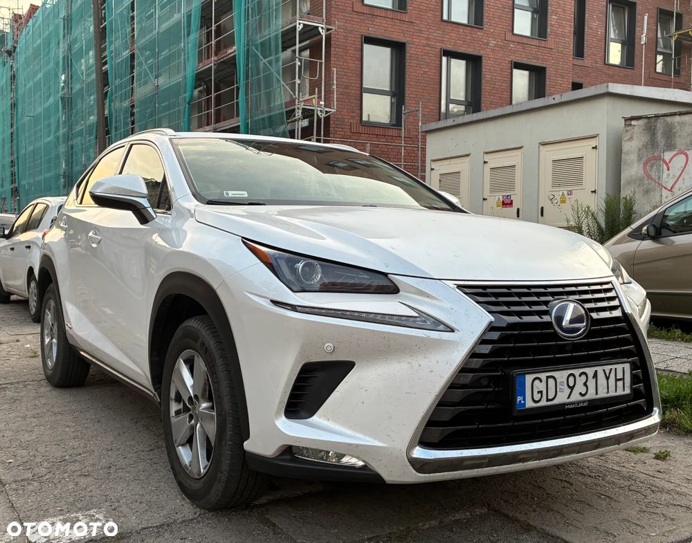 Lexus NX 300 Business Edition AWD - 16