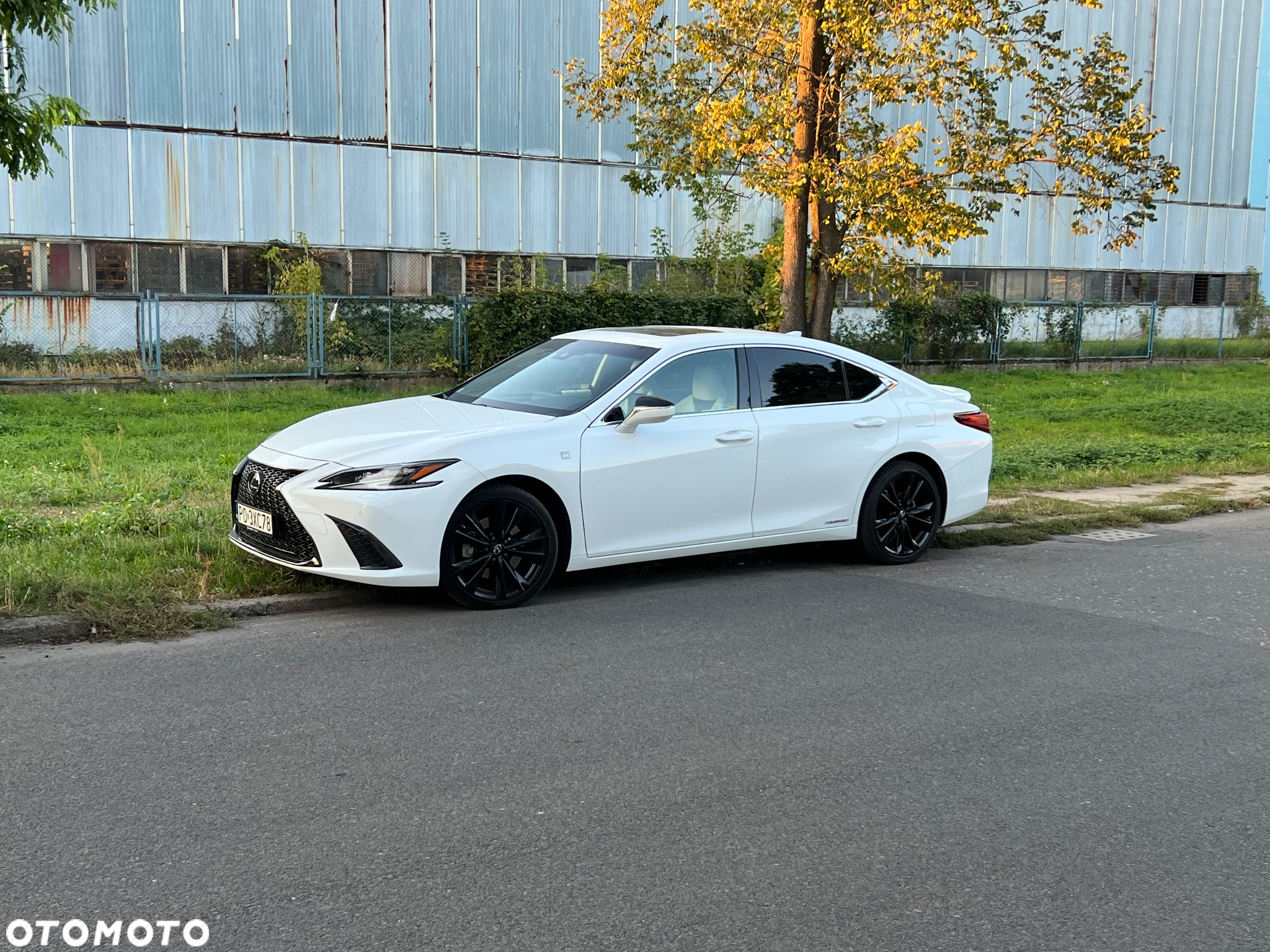 Lexus ES 300h F Sport Edition - 7