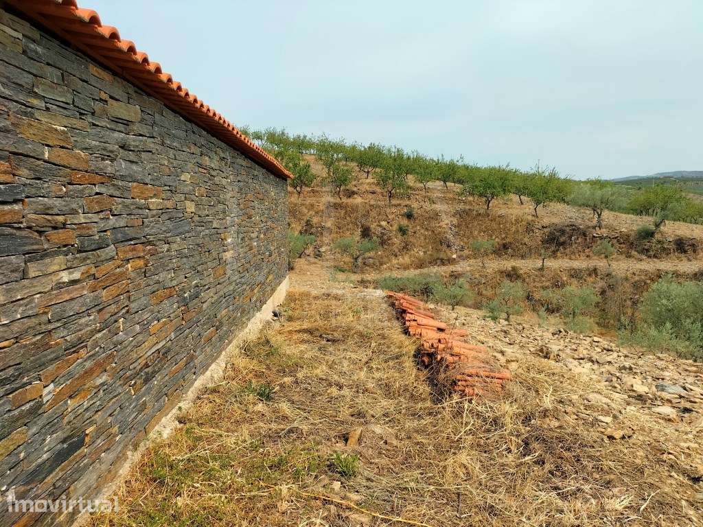 QUINTA DE 12Ha COM FRENTE DE RIO NO DOURO INTERNACIONAL - Grande imagem: 4/30