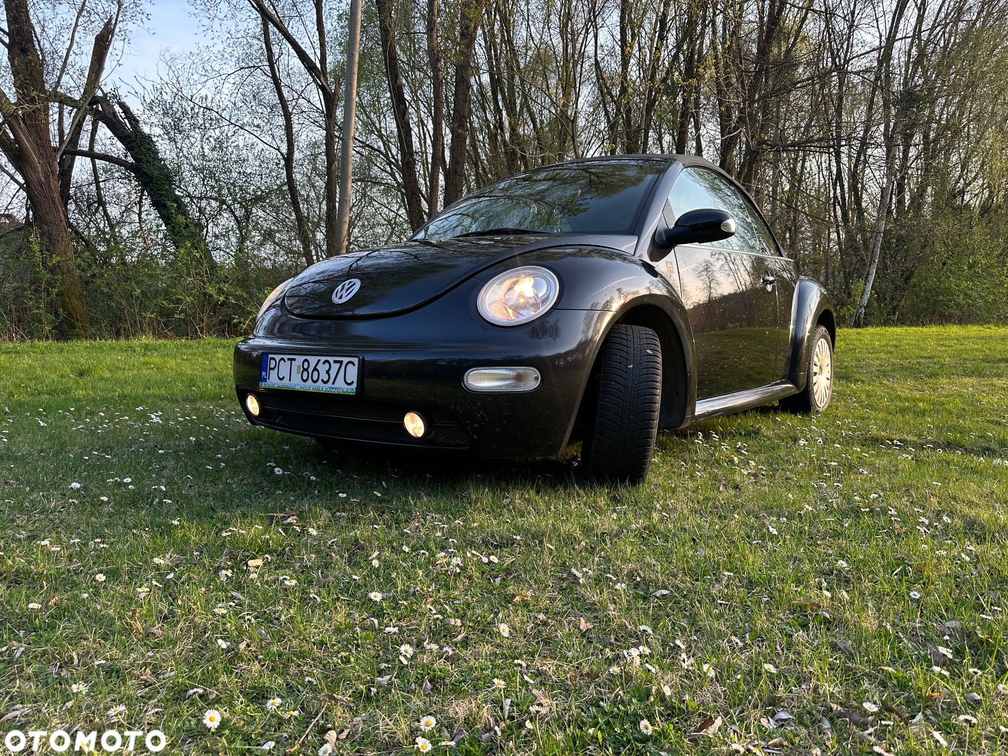Volkswagen New Beetle 2.0 - 1