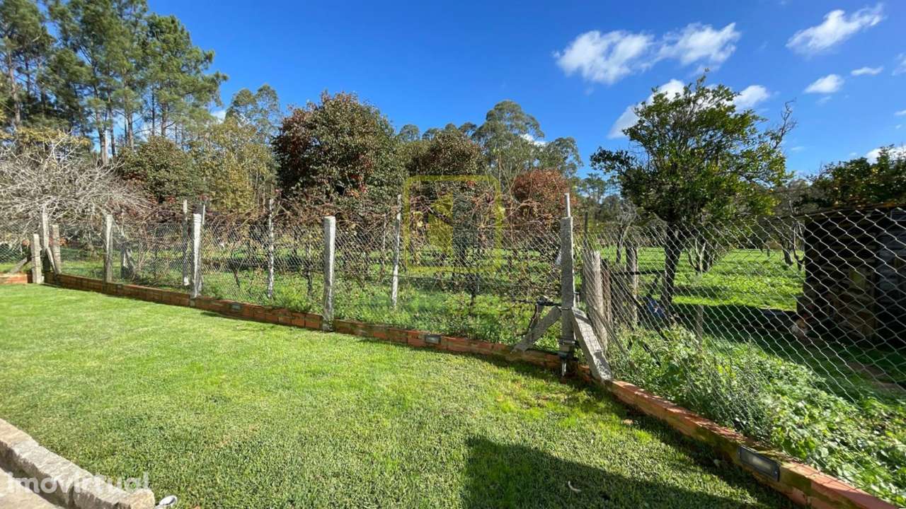 Terreno  Venda em Válega,Ovar - Grande imagem: 3/8