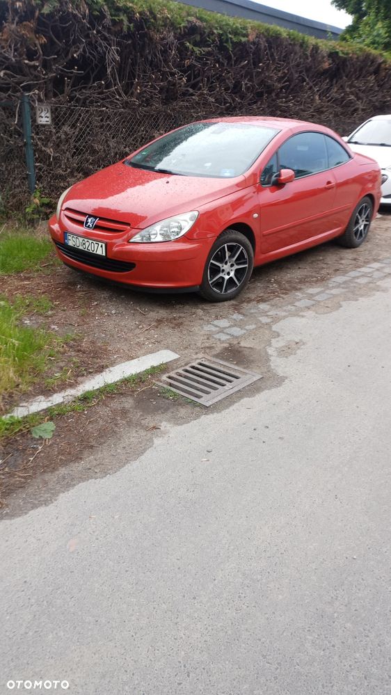 Peugeot 307 CC - 4
