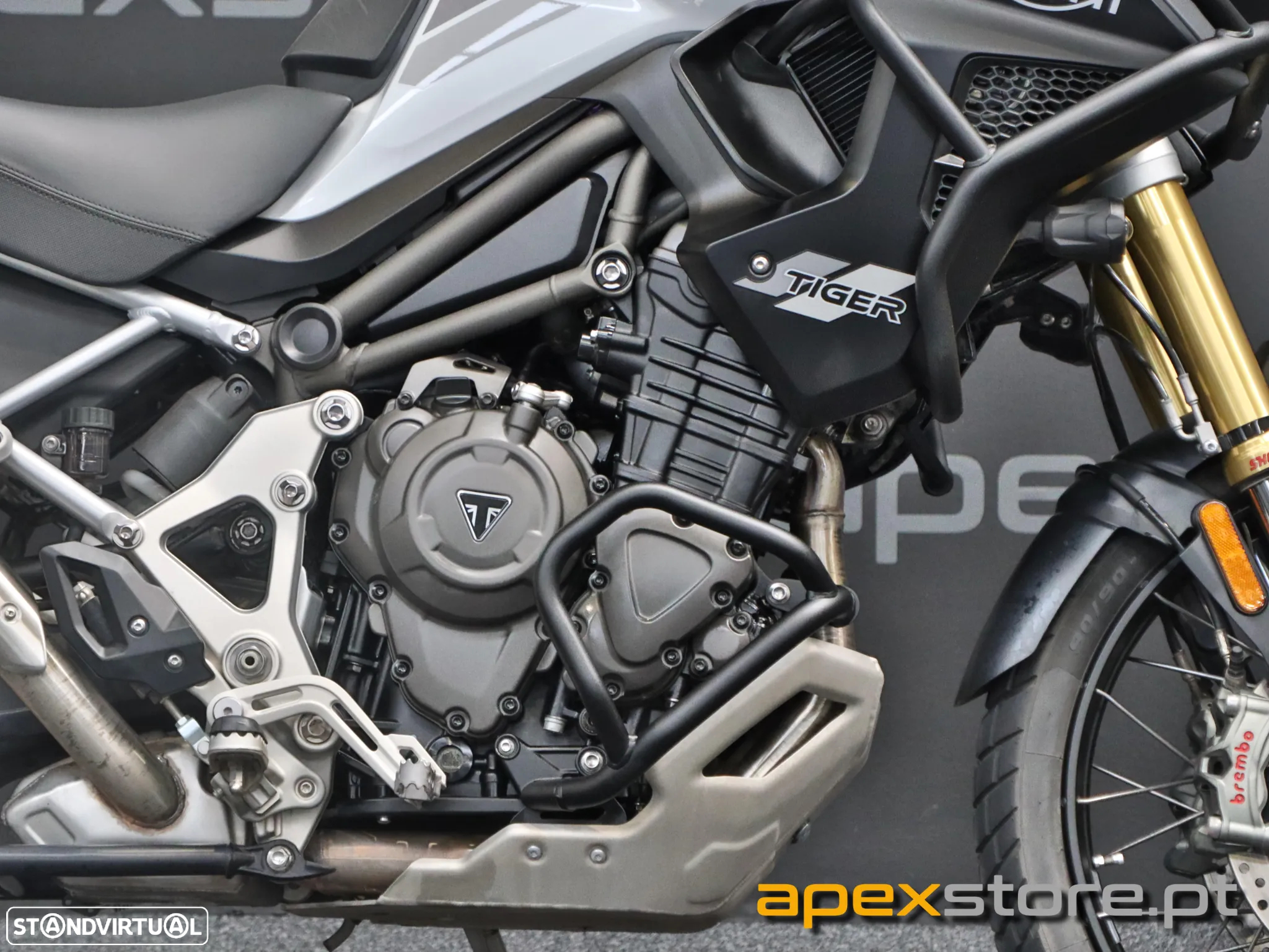 Triumph Tiger Rally Pro Full Extras - 5