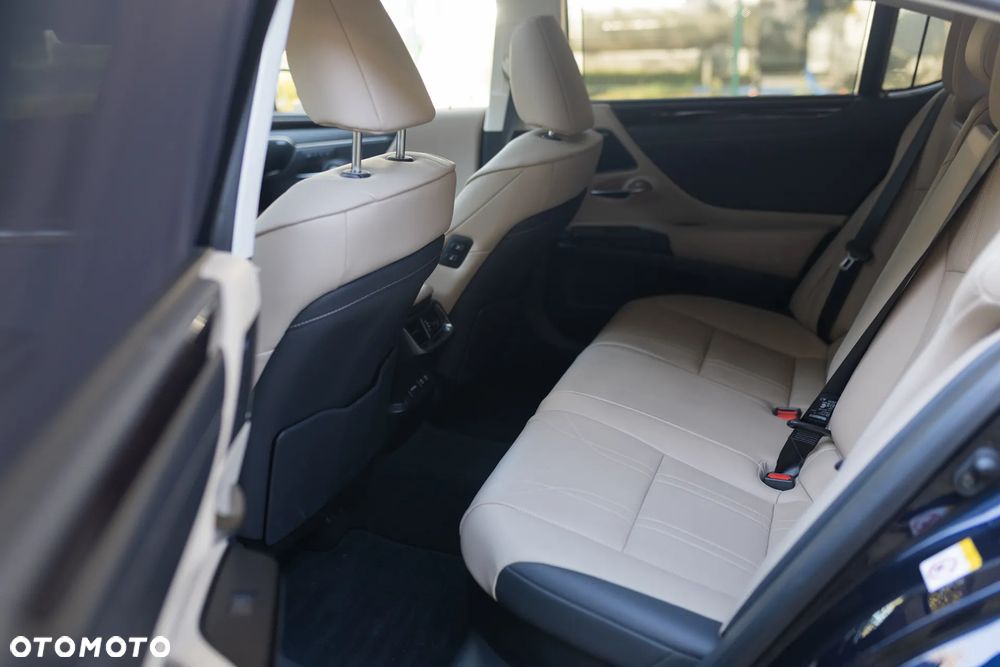 Lexus ES 300h Omotenashi - 17