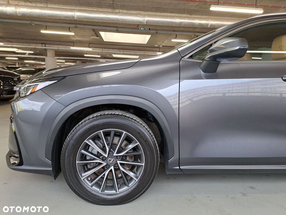 Lexus NX - 34