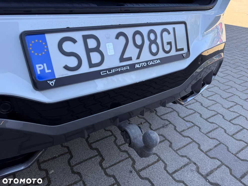 Cupra Terramar - 19
