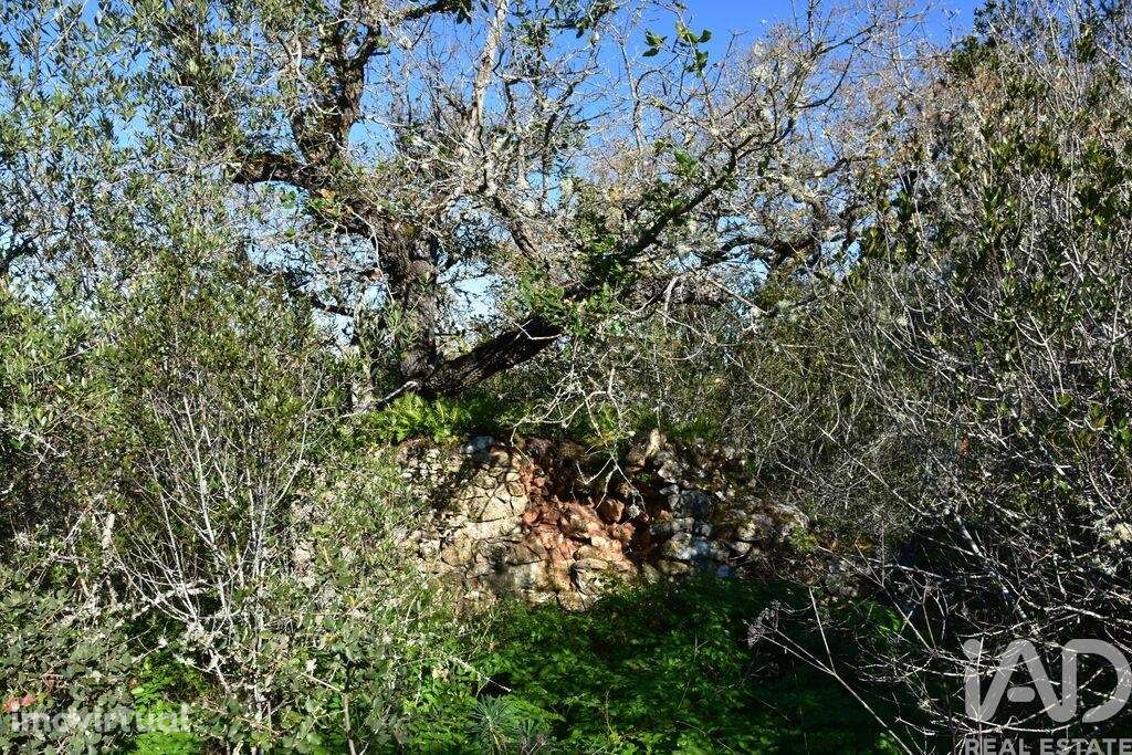 Casa / Villa em Freixianda, Ribeira do Fárrio e Formigais de 86,00 m2 - Grande imagem: 5/27
