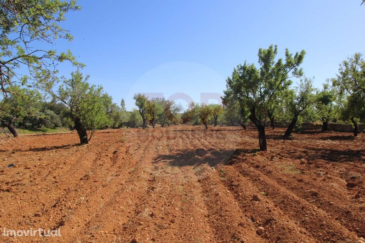 Terreno urbano destinado a construção de moradias unifamiliares - Grande imagem: 2/23