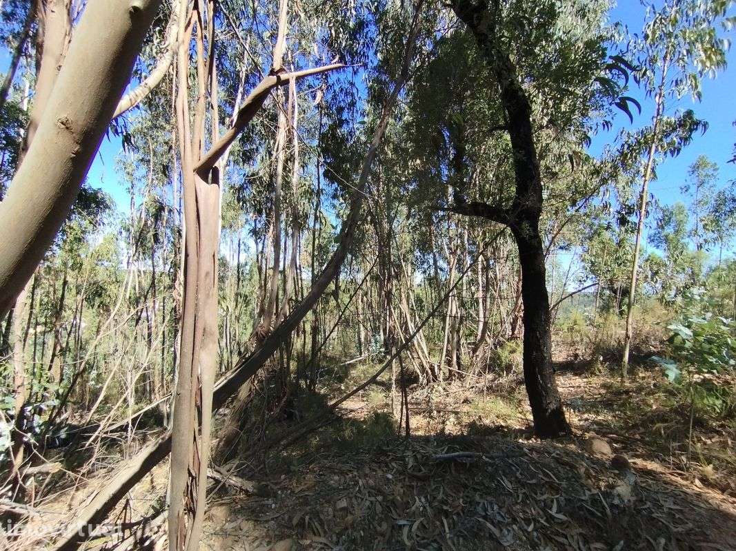 Terreno  para venda - Grande imagem: 2/7