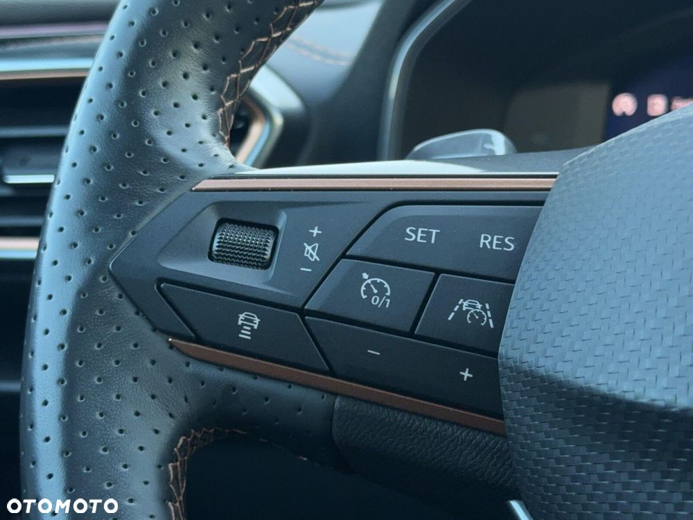 Cupra Formentor 2.0 TSI 4Drive DSG - 17