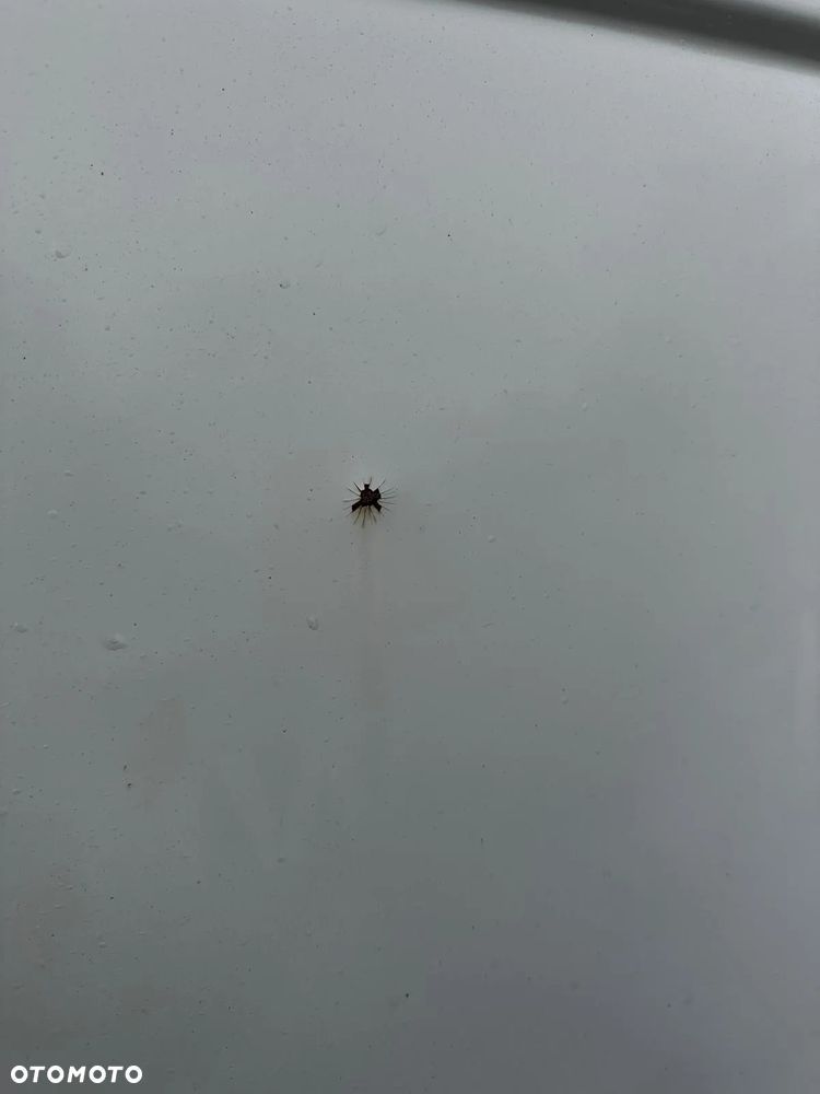 Drzwi Tył Tylne Skrzydełka Lewe Prawe VW T5 Lift Transporter 2010r LB9A Europa Stan bdb - 12