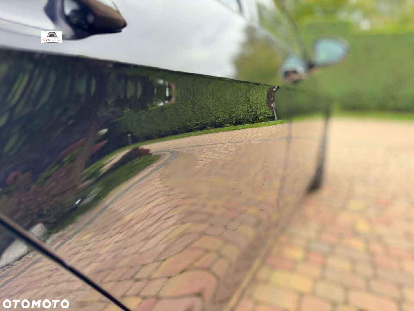 Volkswagen Golf - 35