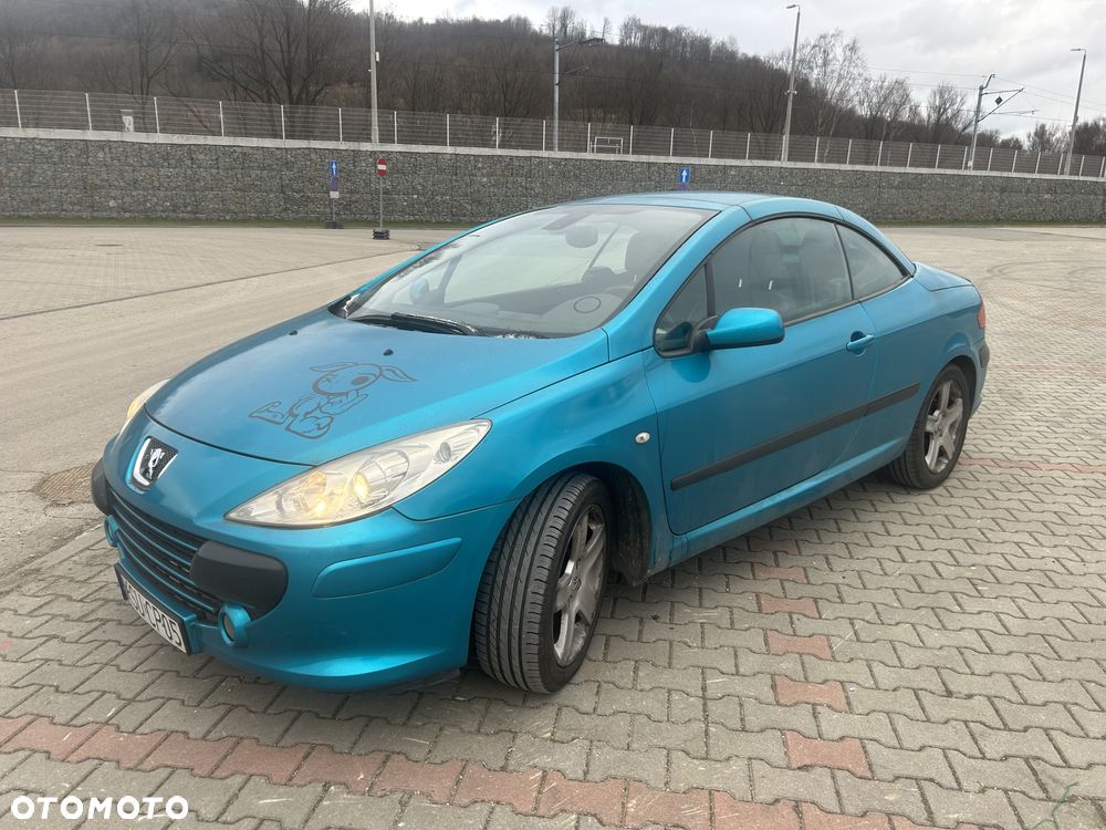 Peugeot 307 CC 180 Sport - 6