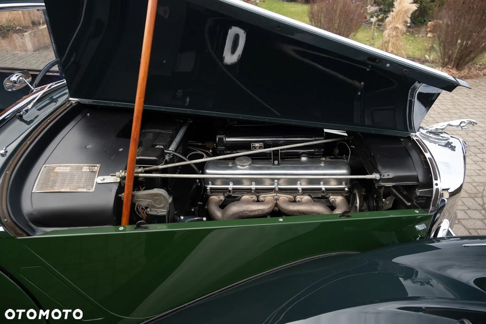 Jaguar Inny - 25