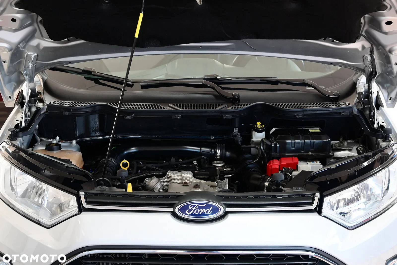 Ford EcoSport - 9