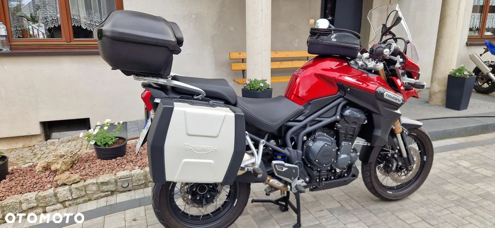 Triumph Tiger - 37