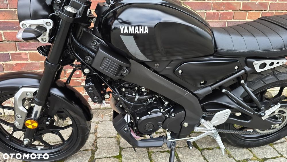 Yamaha XSR - 6
