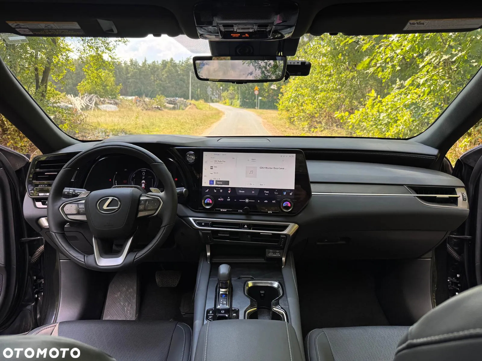 Lexus RX 350h (hybrid) Business - 24