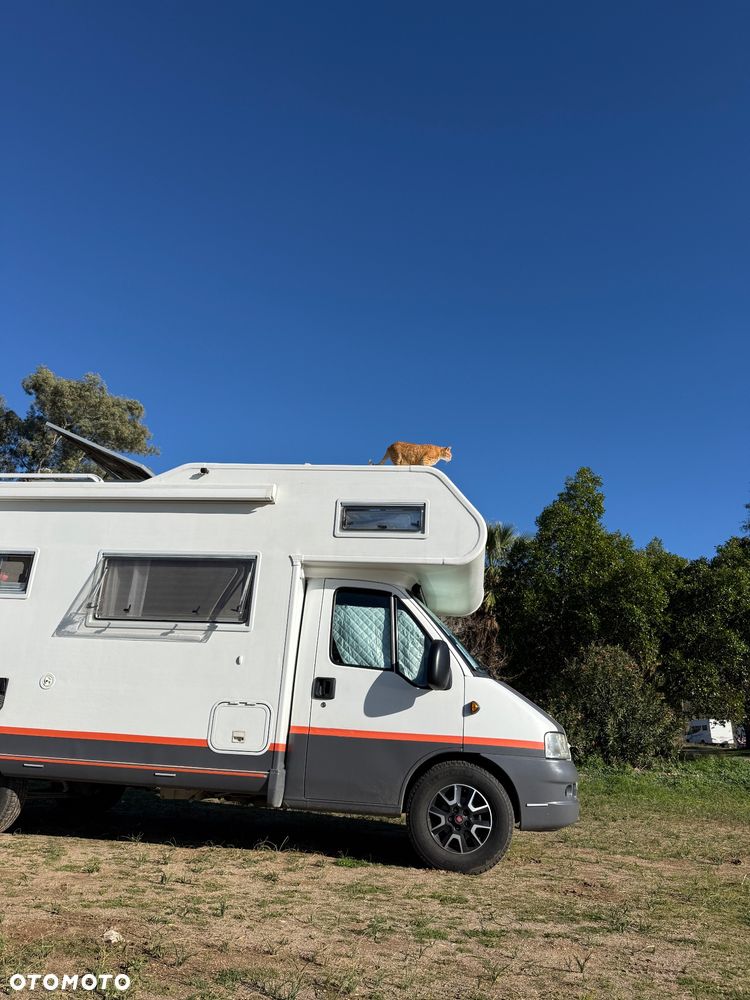Fiat Ducato - 19