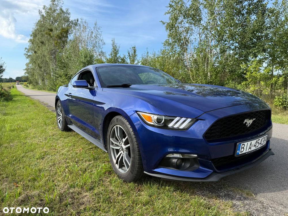 Ford Mustang - 5