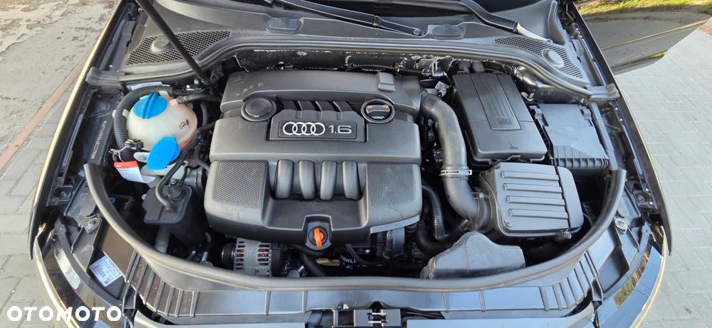 Audi A3 3-drzwiowe 1.6 Limited Edition - 36