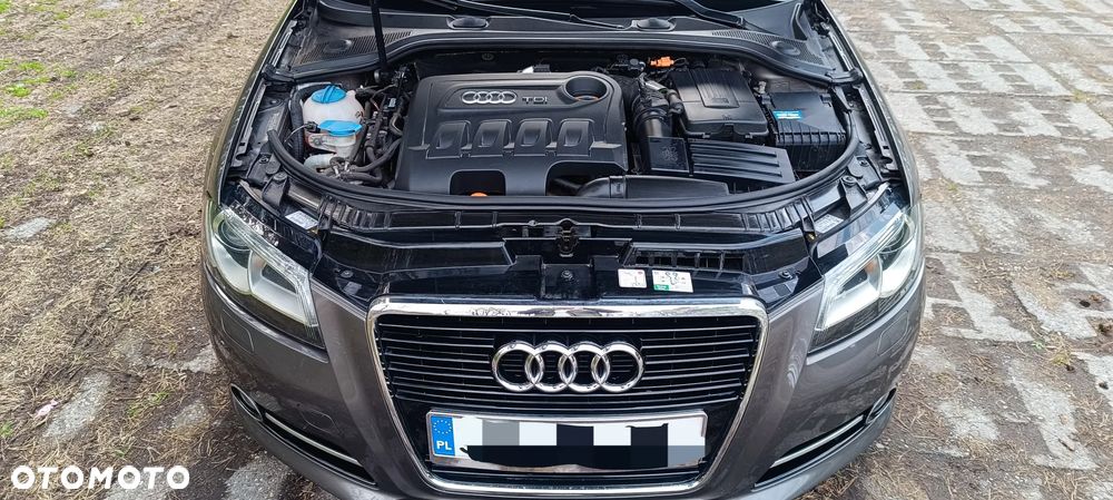 Audi A3 Sportback 2.0 TDI DPF Ambition - 12