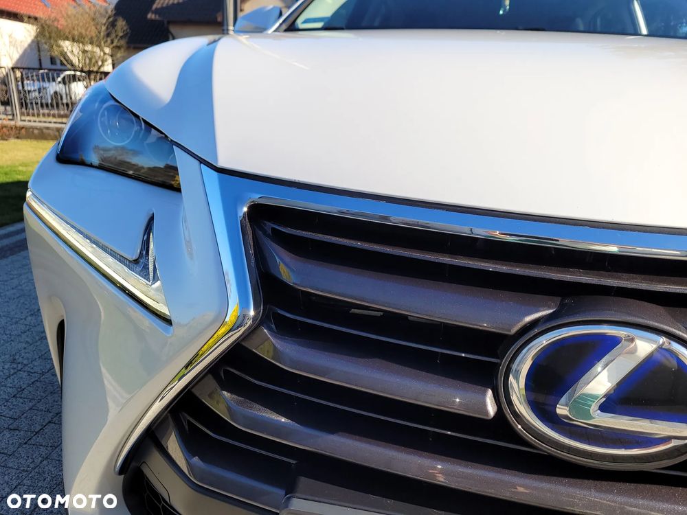 Lexus NX 300h Comfort AWD - 7