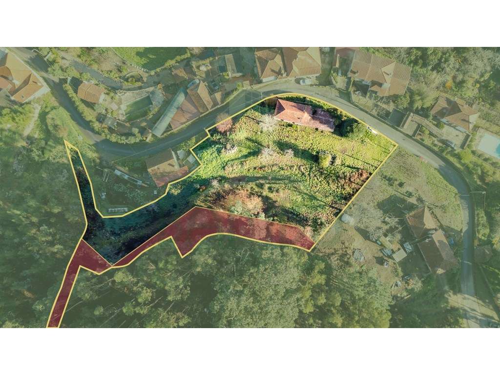 Quintinha com 3567m2 e vistas rio - Grande imagem: 5/14