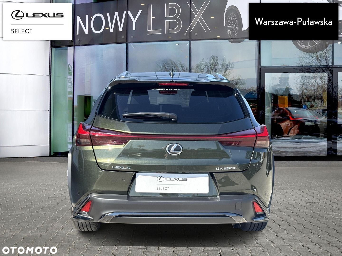 Lexus UX 250h GPF F Sport Design 2WD - 7