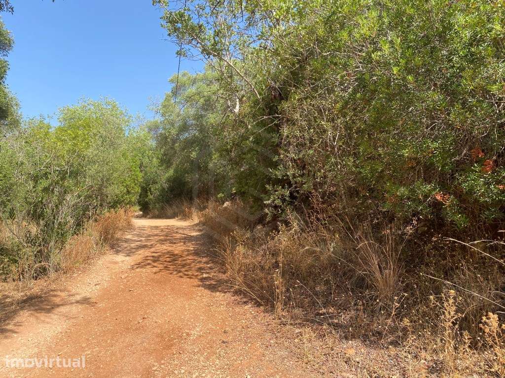 Lote de terreno rústico na Fonte da Benémola, Loulé, Algarve - Grande imagem: 3/17