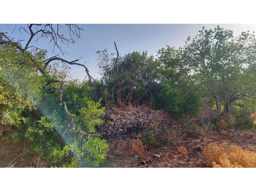 Terreno com ruina em Estoi, Faro, Algarve - Grande imagem: 2/13