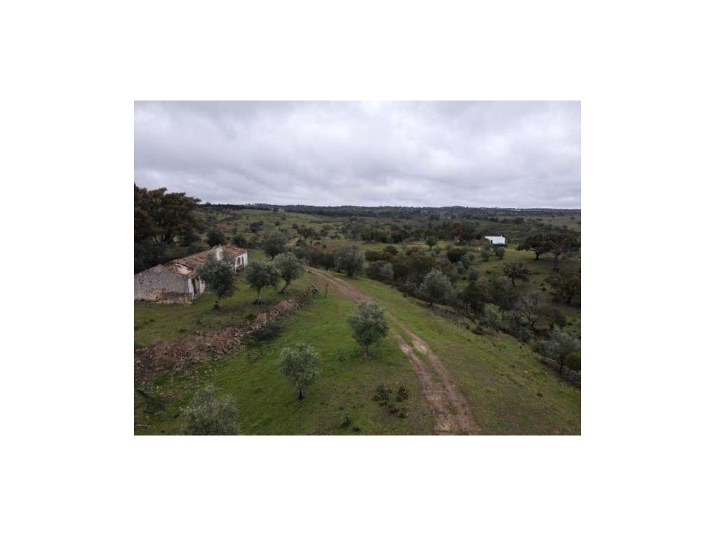 Herdade com 60ha em Grândola - Grande imagem: 3/28