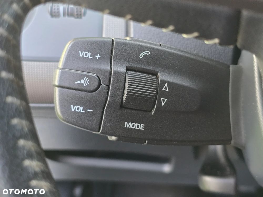Seat Ibiza - 19
