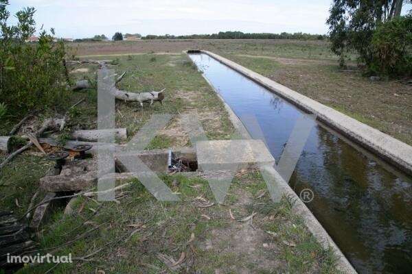 Seisseira - Grande imagem: 3/7