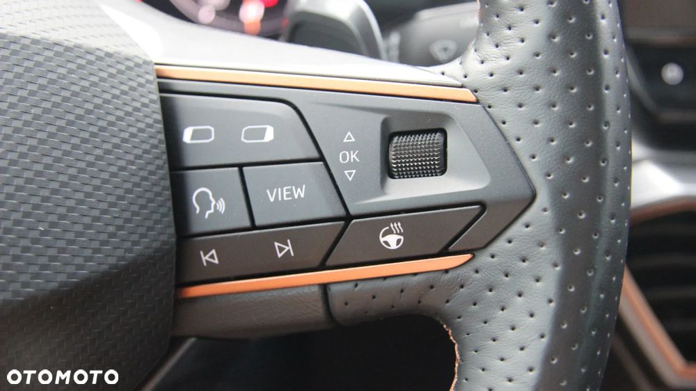 Cupra Formentor 1.5 TSI DSG Tribe Edition - 19