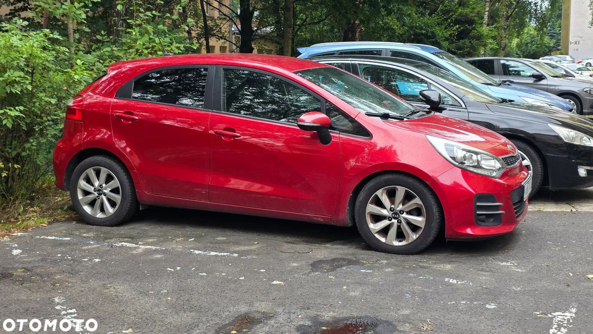 Kia Rio - 1
